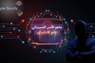 كل ما تريد معرفته عن الامن السيبراني